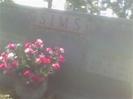 Sallie Campbell Sims