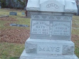 Sallie I. Chandler - Mays - Echols