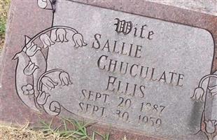 Sallie Chuculate Ellis