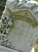 Sallie E. Cosby
