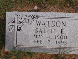 Sallie E Watson Sallie E Watson