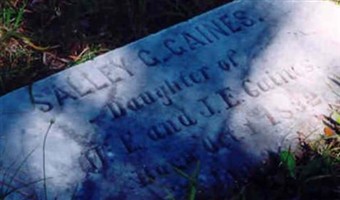 Sallie Garlick Gaines