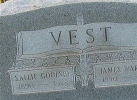 Sallie Goolsby Vest