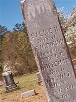 Sallie H Holleman Pipkin Sallie H Holleman Pipkin