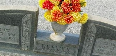 Sallie H Reeves