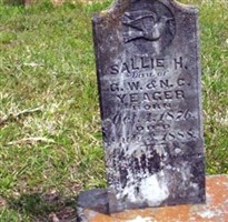 Sallie H Yeager Sallie H Yeager