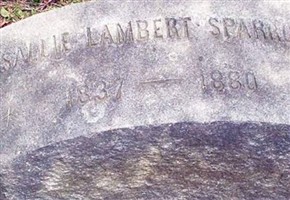 Sallie Lambert Sparrow (1973023.jpg)