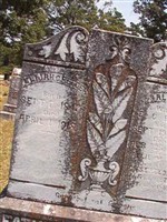 Sallie M Reeder