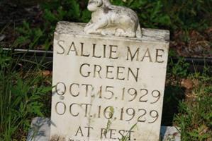 Sallie Mae Green