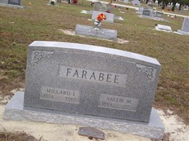 Sallie Mae Strawn Farabee