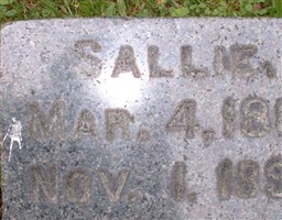 Sallie Phelps Felter