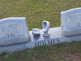 Sallie Pittman Holmes