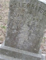 Sallie R. Watson Sallie R. Watson