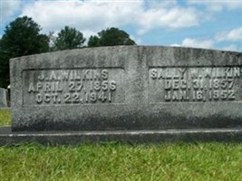 Sallie Walker Daniels Wilkins