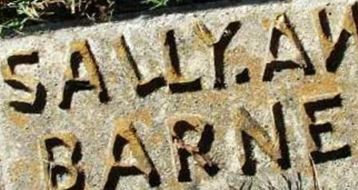 Sally Ann Barnes Sally Ann Barnes