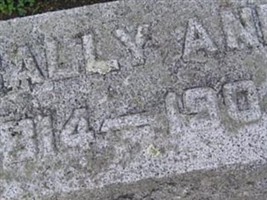 Sally Ann Garrison Mattice