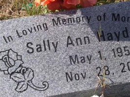 Sally Ann Hayden