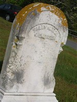 Sally Ann M Nickerson