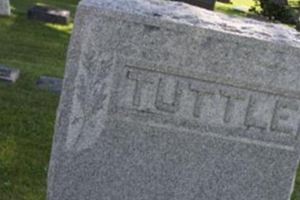Sally Ann Tuttle Sally Ann Tuttle