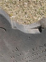 Sally Barnum