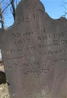 Sally Barnum