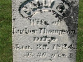 Sally C Thompson