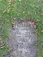 Sally Gillett Sally Gillett