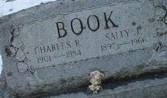 Sally J Book