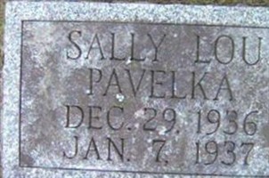 Sally Lou Pavelka