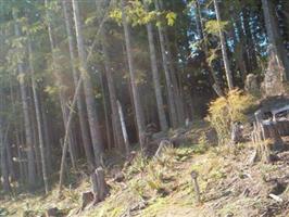 Salmon Creek Cemetery (Old)