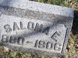 Saloma E. Hayes Saloma E. Hayes