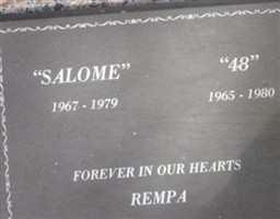 Salome Rempa