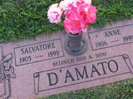 Salvatore D'Amato Salvatore D'Amato