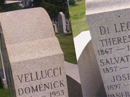 Salvatore DiLeo Salvatore DiLeo