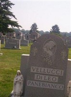 Salvatore DiLeo Salvatore DiLeo