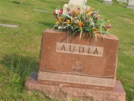 Sam Audia