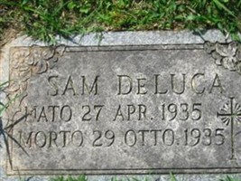 Sam Deluca Sam Deluca