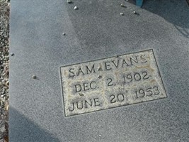 Sam Evans