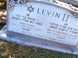 Sam Levin Sam Levin