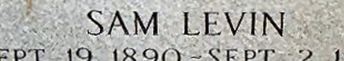 Sam Levin Sam Levin