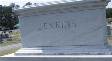 Sam Lewis Jenkins, Jr Sam Lewis Jenkins, Jr