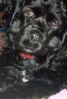 Sam Magnusson