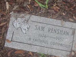 Sam Renshaw