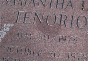 Samantha Lee Tenorio Samantha Lee Tenorio