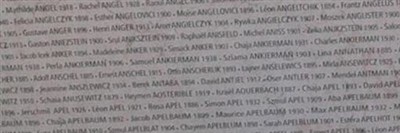 Samson Apfelbaum Samson Apfelbaum