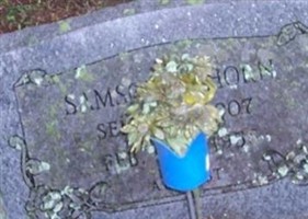 Samson B. Horn Samson B. Horn