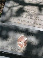 Samson Blank Samson Blank