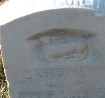 Samuel Alberto Bateman Samuel Alberto Bateman