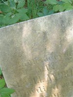 Samuel Andrews Samuel Andrews