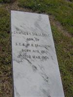 Samuel E Spaulding